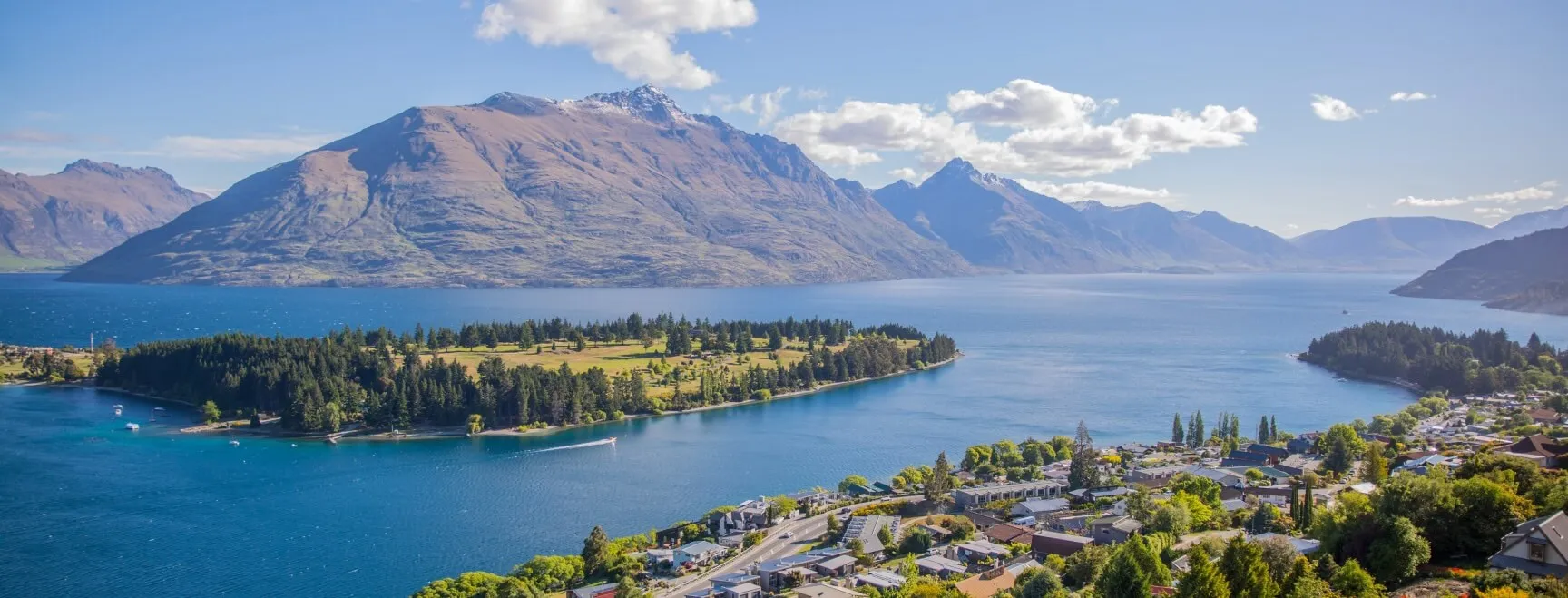 South Island Drug Detection Services NZ Detector Dogs